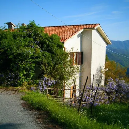 Caregli *